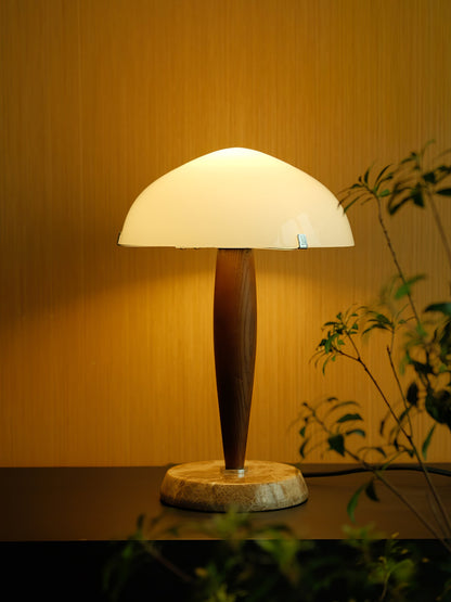 LUXELIV – Stylish Home LED Table Lamp